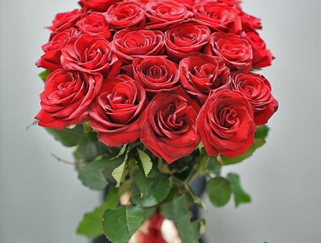 15 trandafiri rosii olandezi 60-70 cm (la comanda, 1 zi) foto